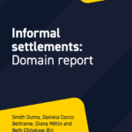 nformal settlements: Domain report